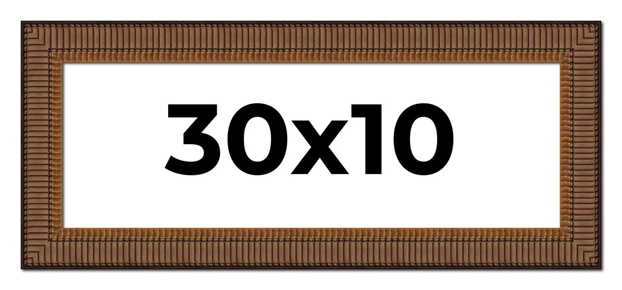 10x30 Museum Picture Frame with UV-Resistant Acrylic & Acid Free Backing, Available in 4 Finishes - Black, Brown, Gold, Silver